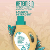 Détergent de linge Artemisia Longrich